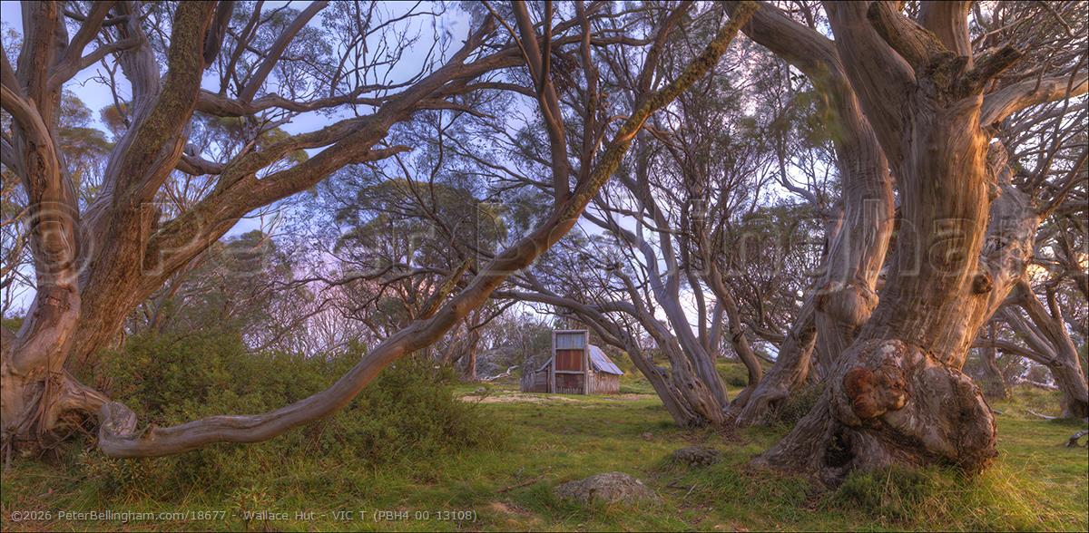 Peter Bellingham Photography Wallace Hut - VIC T (PBH4 00 13108)